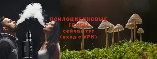 ALPHA PVP Богородицк