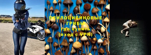 каннабис Богданович