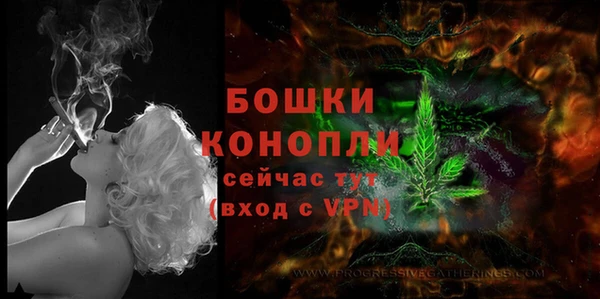 ALPHA PVP Богородицк
