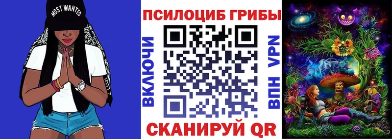 Псилоцибиновые грибы ЛСД  Южно-Сухокумск 